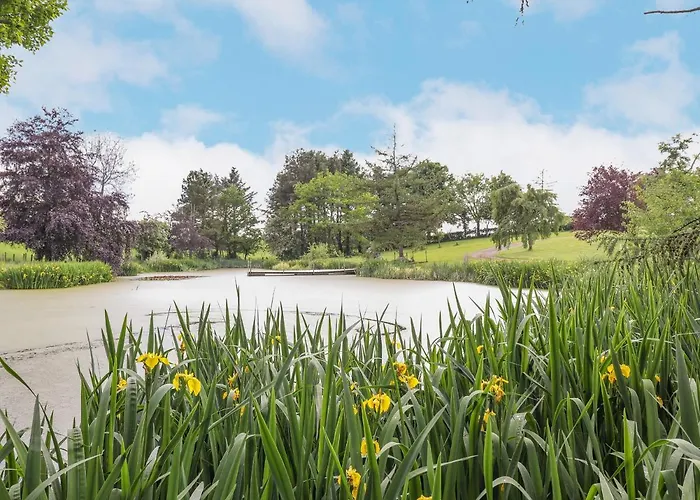 High Rigg Shepherd's Sunrise Brampton (Cumbria)