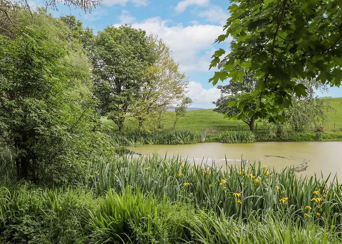 High Rigg Shepherd's Sunrise Feriehus
